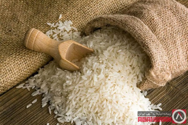 فروش برنج ایرانی بدون واسطه از کشاورز با بهترین قیمت و کیفیت 